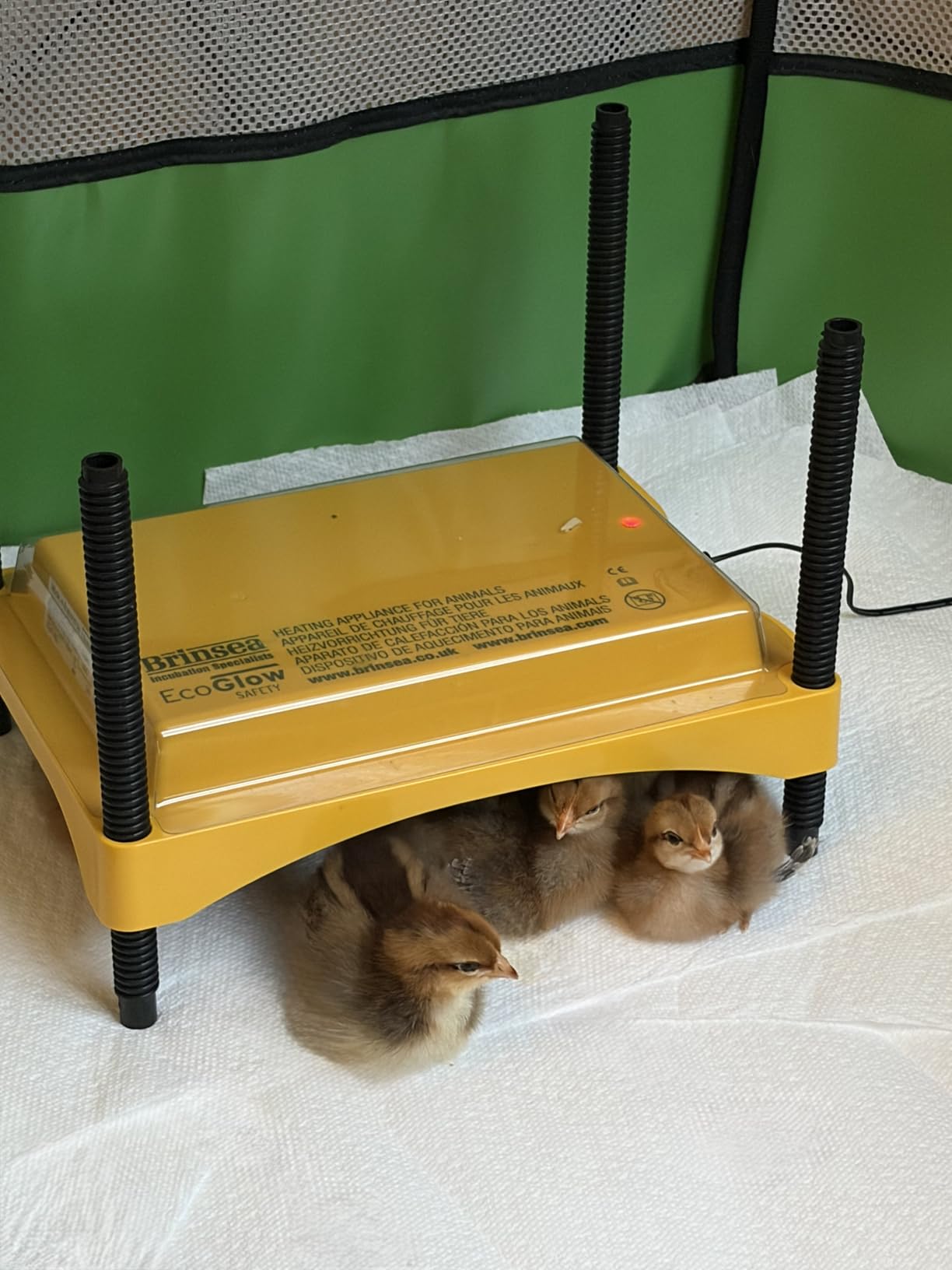 Brinsea Ecoglow Safety 600 Chick or Duckling Brooder, Up to 20 Chicks customer photo 1