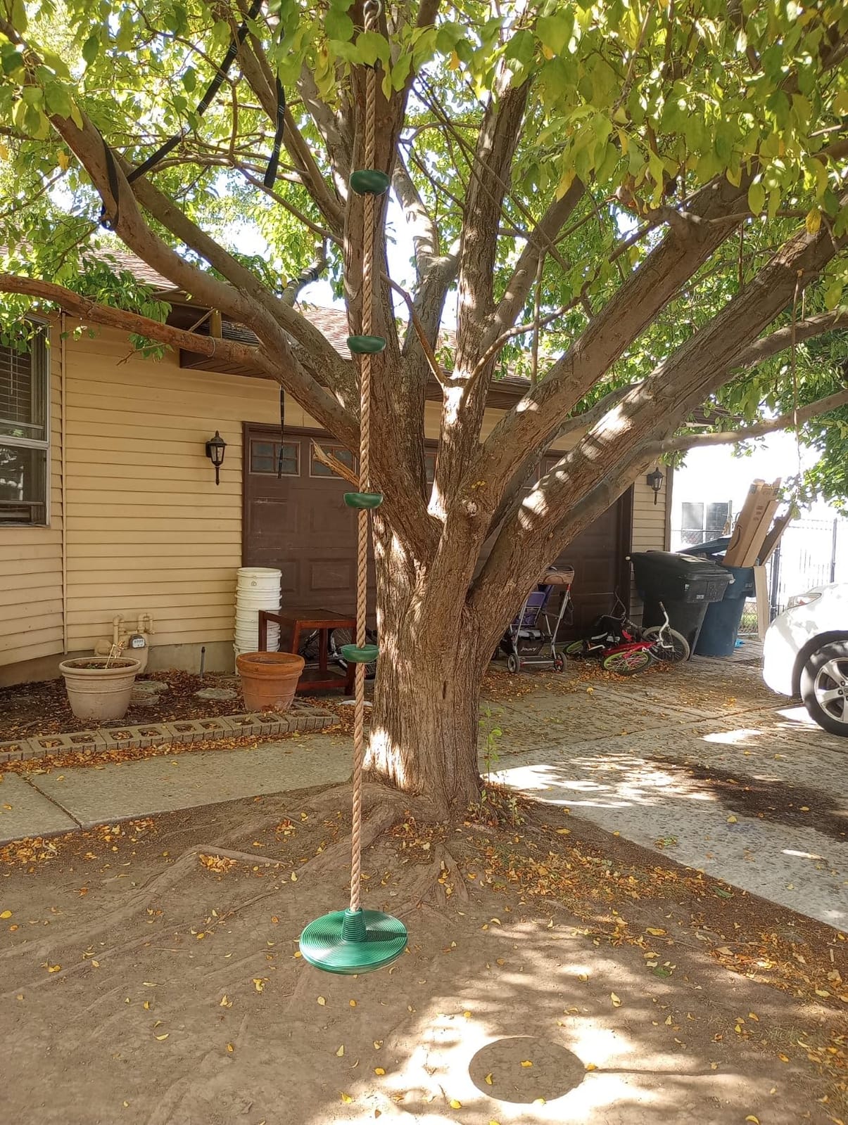 Tree Swing for Kids Rope Swing for Tree Climbing Rope for Kids-Green customer photo 2
