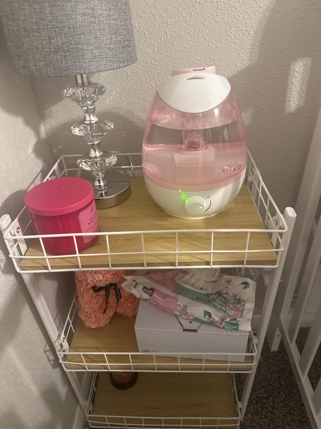 Safety 1st Filter Free Cool Mist Humidifier, Pink, Pink customer photo 1