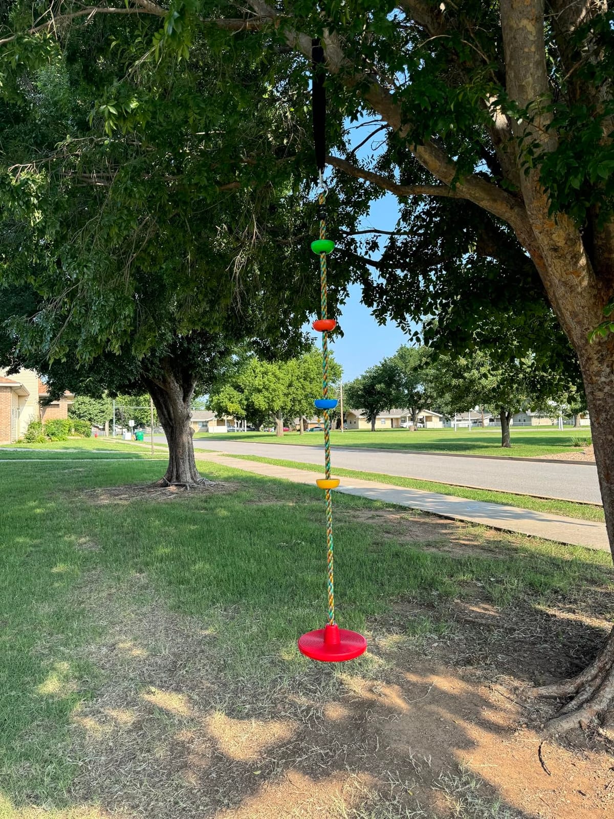 Jungle Gym Kingdom Tree Swing for Kids - Single Disc Seat and Rainbow Climbing Rope Set w/Carabiner and 4 Foot Strap - Treehouse and Outdoor Playground Accessories - Red customer photo 1