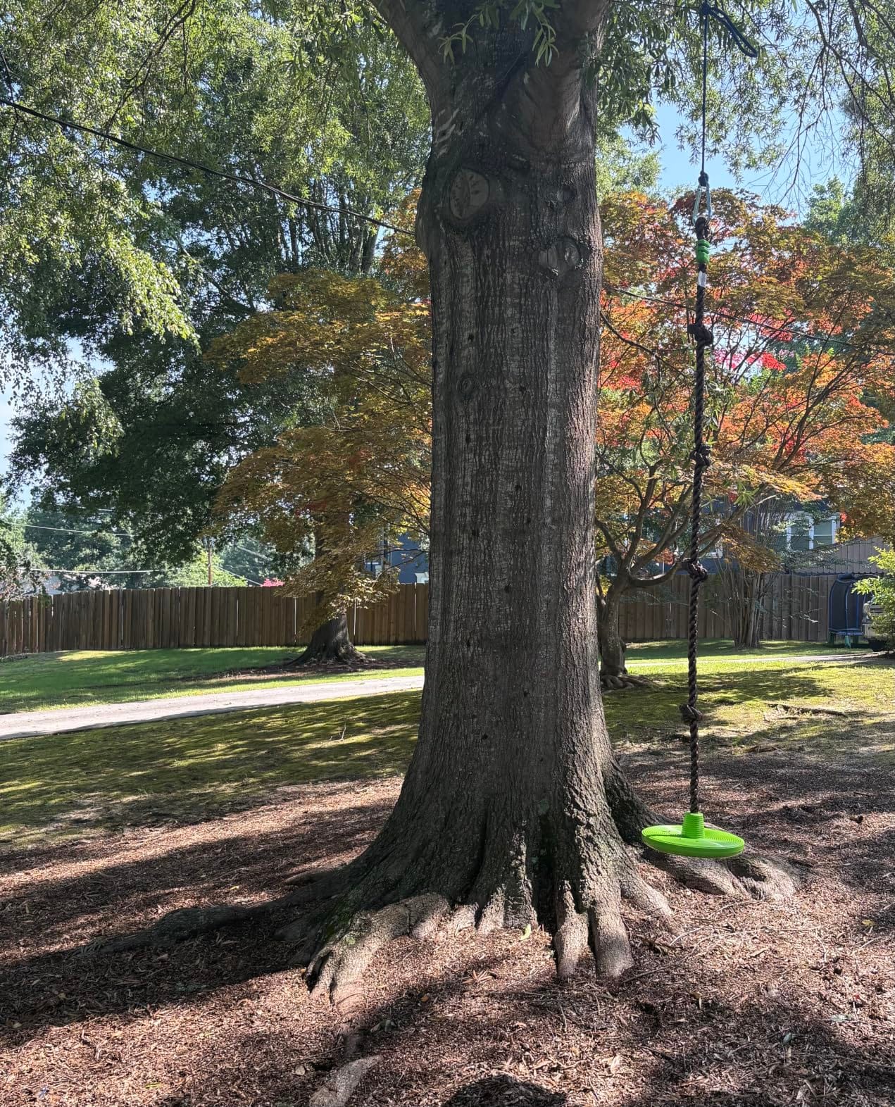 Swurfer Disco Tree Swing - Swing Sets for Backyard, Outdoor Swing, Swingset Outdoor for Kids, Easy Installation, Heavy Duty, Adjustable Climbing Rope, Weather Resistant customer photo 2