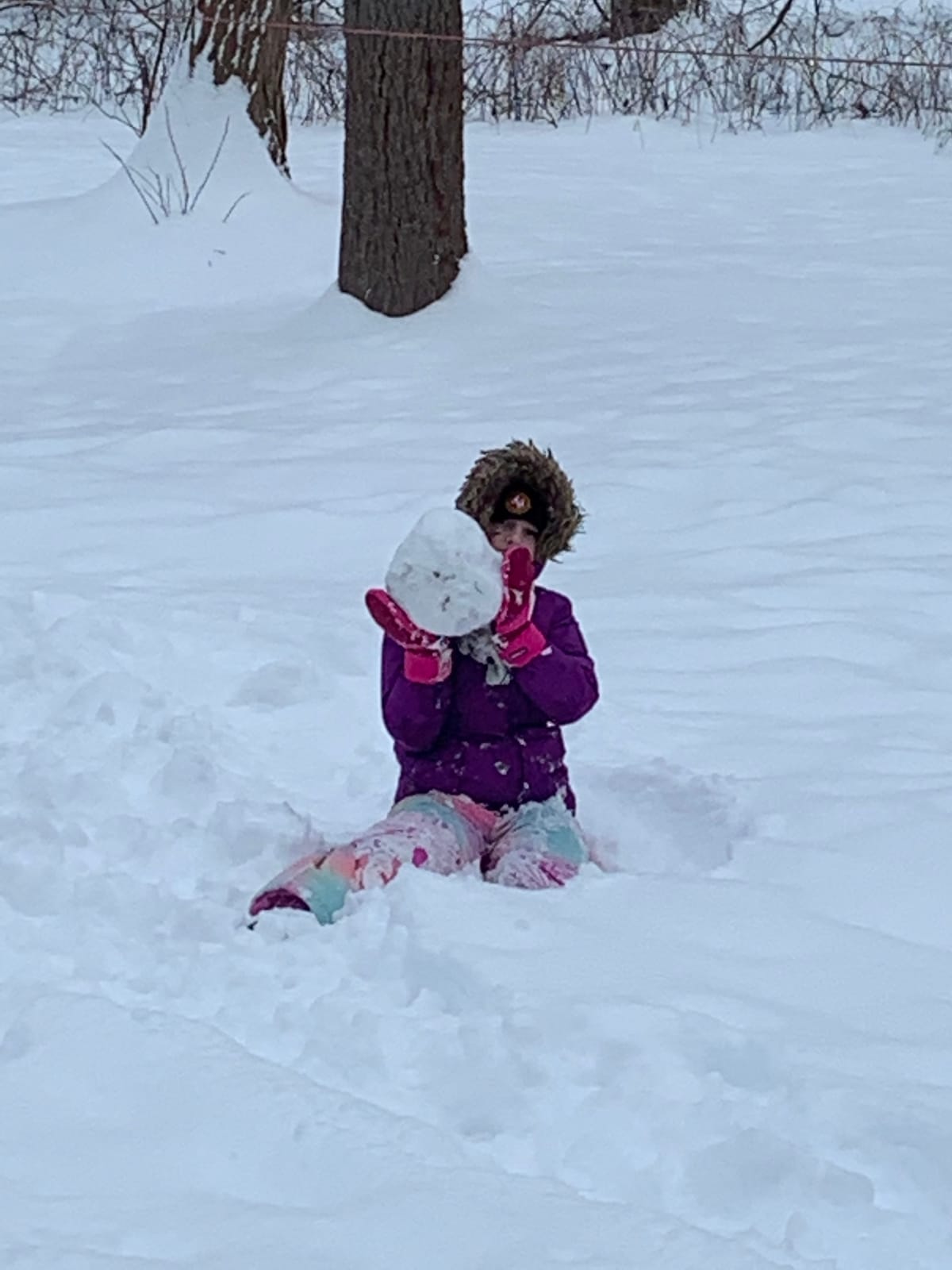 Amazon Essentials Girls and Toddlers' Water-Resistant Ski & Snow Bib Overall customer photo 1
