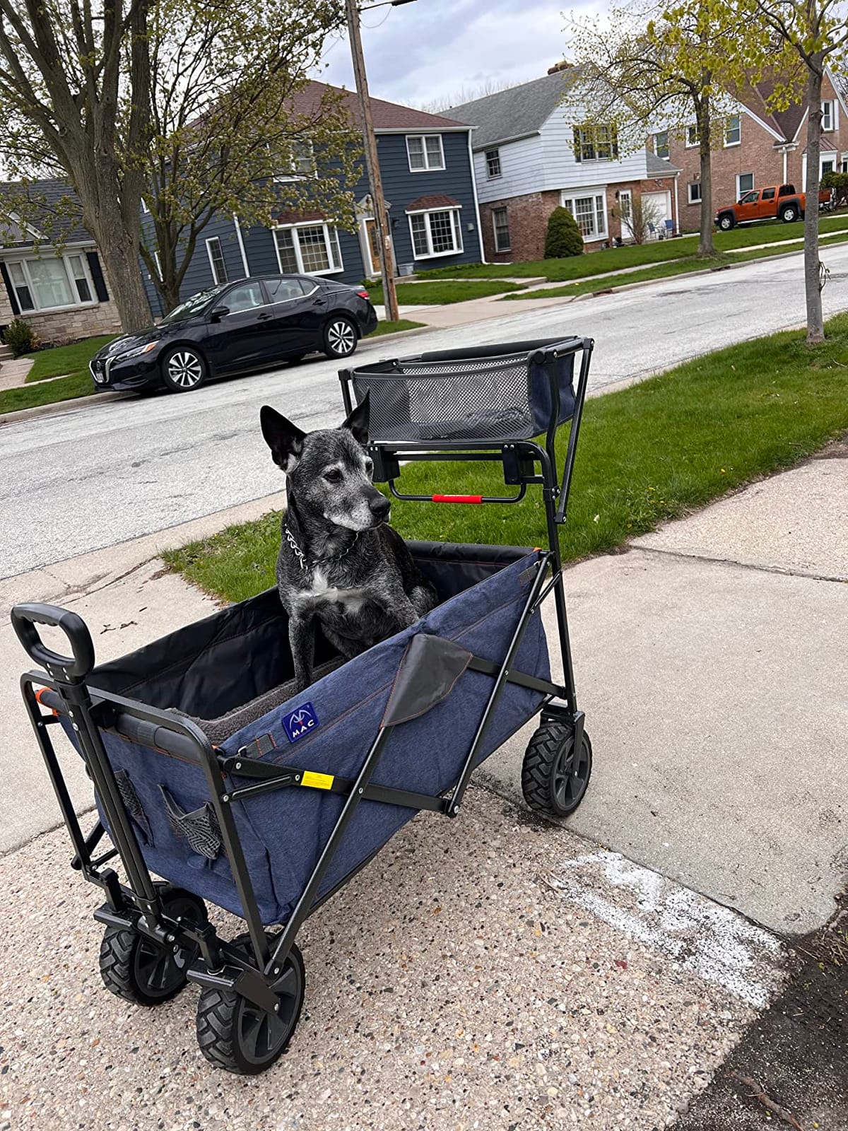 Mac Sports Push Pull Wagon customer photo 1