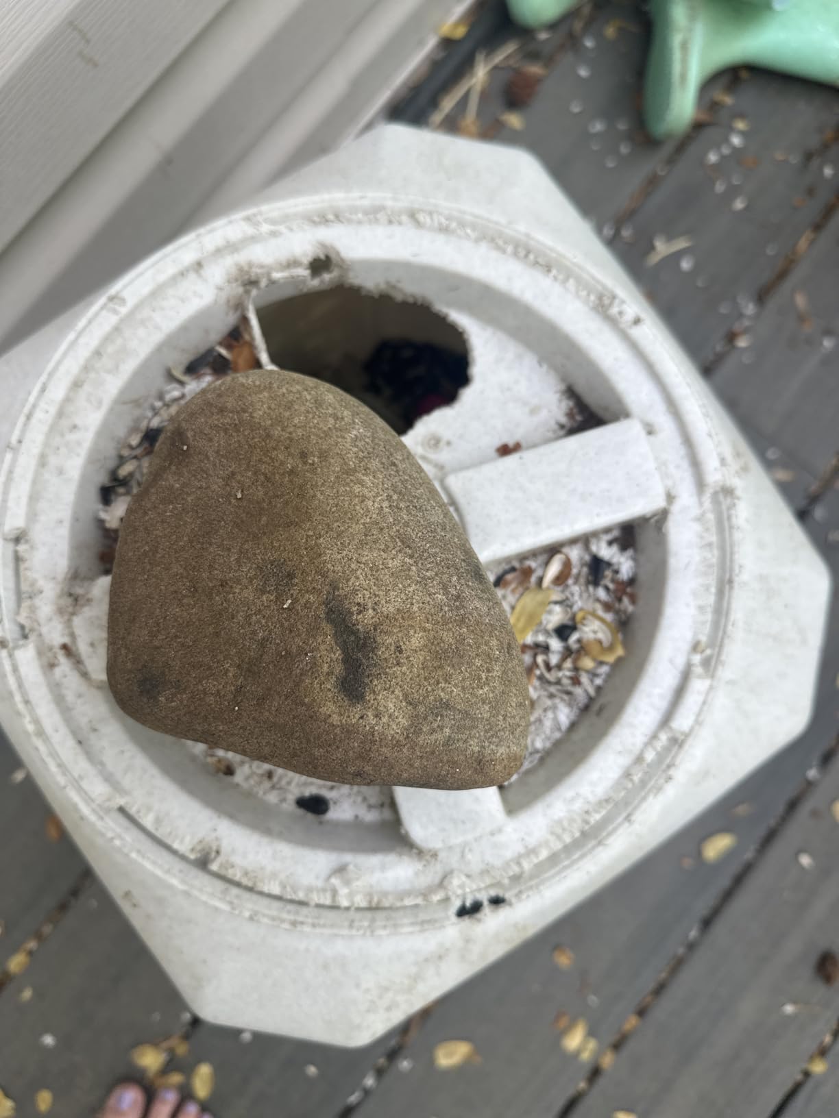 Vittles Vault Vittles Vault Bird Seed Storage Container, Up to 35 Pounds customer photo 2