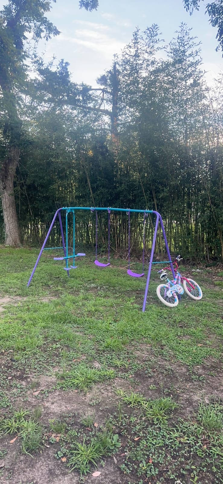 Outsunny Metal Swing Set with Glider Two S Seats Adjustable Height Green customer photo 2
