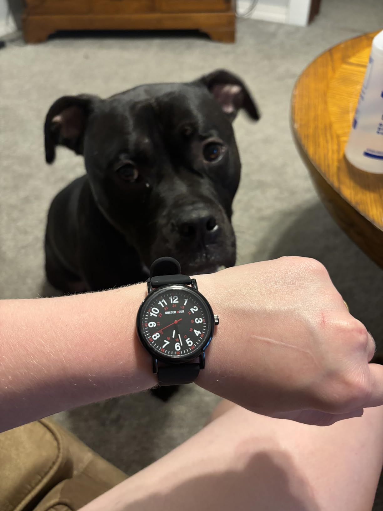 GOLDEN HOUR Waterproof Nurse Watch for Medical Professionals, Students Women Men - Military Time Luminouse Easy Read Dial, 24 Hour with Second Hand, Colorful Silicone Band customer photo 1