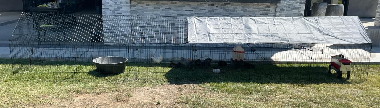 Chicken Coop, 130