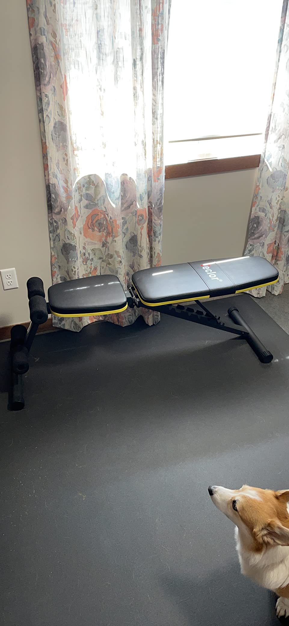 Teclor Adjustable Weight Bench, Foldable Workout Benches for Home Gym, 10 Backrest Position Exercise Bench for Strength Training, Upgraded Thickened Steel Support Max Capacity 700LBs customer photo 2