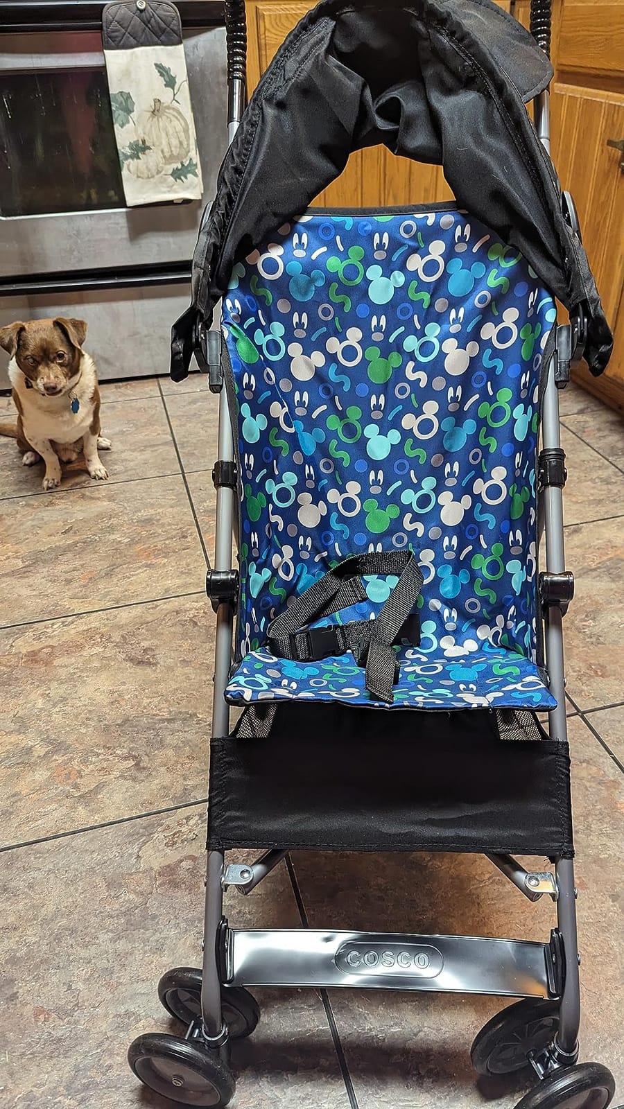 Disney Baby Character Umbrella Stroller, Eye-catching, Fun, 3D Stroller, Minnie Play All Day customer photo 1