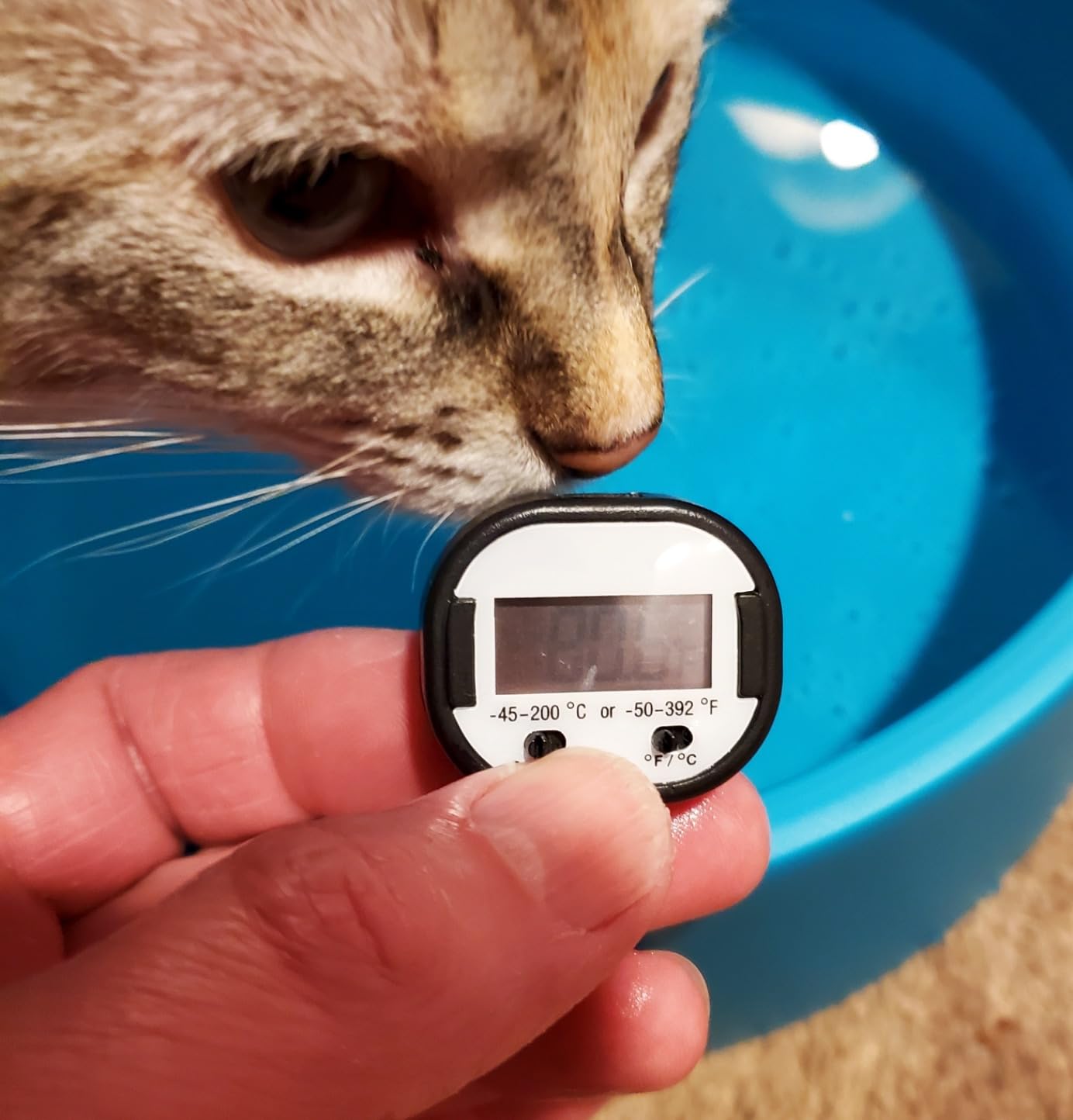 Heated Water Bowl for Dog & Cat, Outdoor Heated Dog Bowl Provides Drinkable Water & Food in Winter, Heated Pet Bowl for Outside, Smart Thermal-Dish for Rabbit, Chicken, Duck, Squirrel (98 OZ) customer photo 2