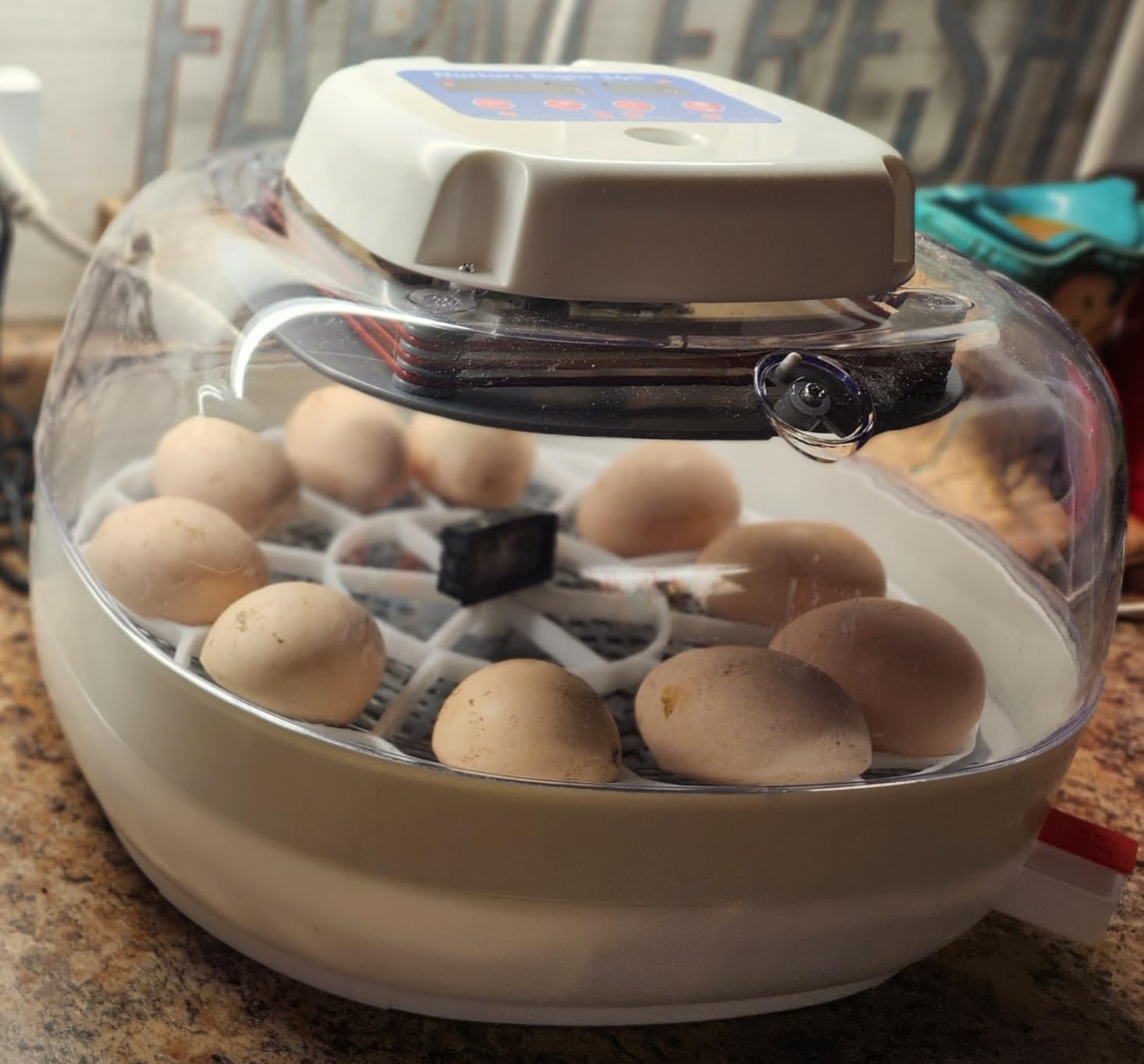 Goose/Peacock Egg Tray Compatible with Nurture Right 360 Turner (JGT360) customer photo 1