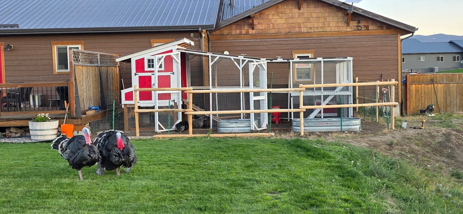 SANZEUS Hardware Cloth, 48in x 100ft 1/2in Mesh, 19GA Chicken Wire Fencing customer photo 1