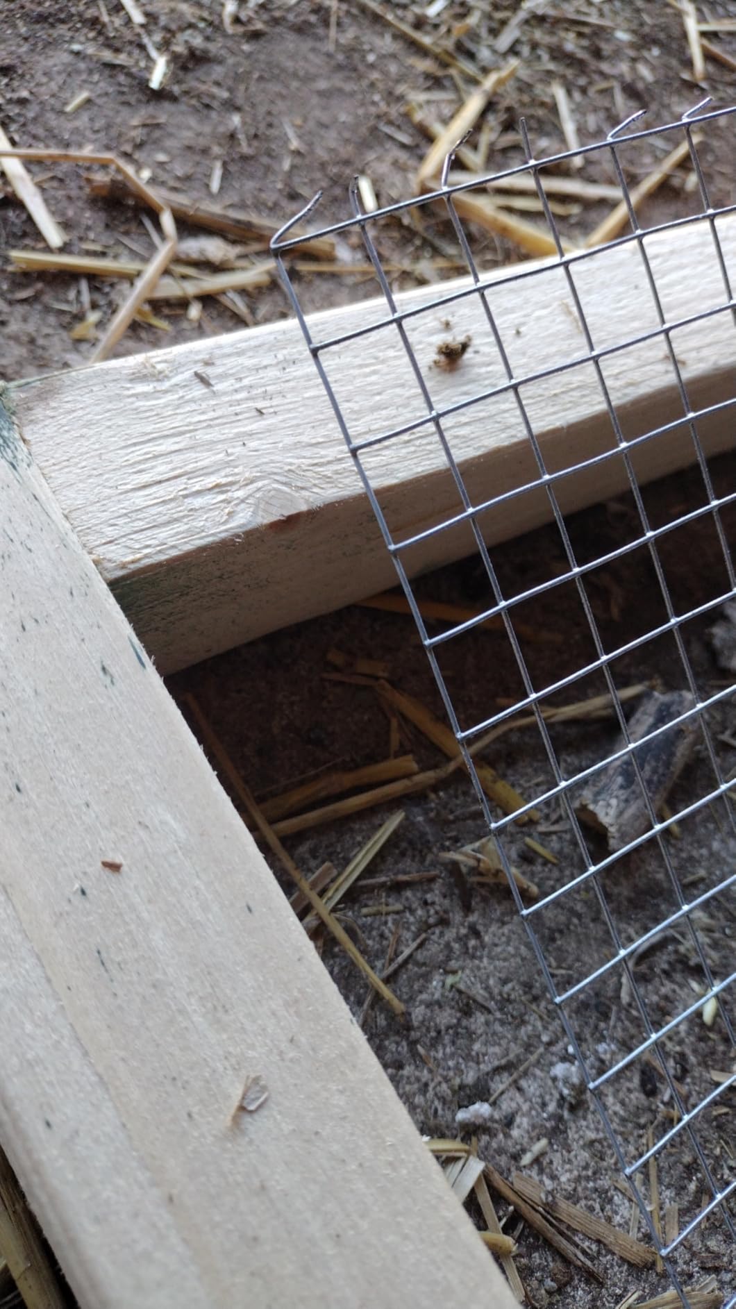 SANZEUS Hardware Cloth, 48in x 100ft 1/2in Mesh, 19GA Chicken Wire Fencing customer photo 2