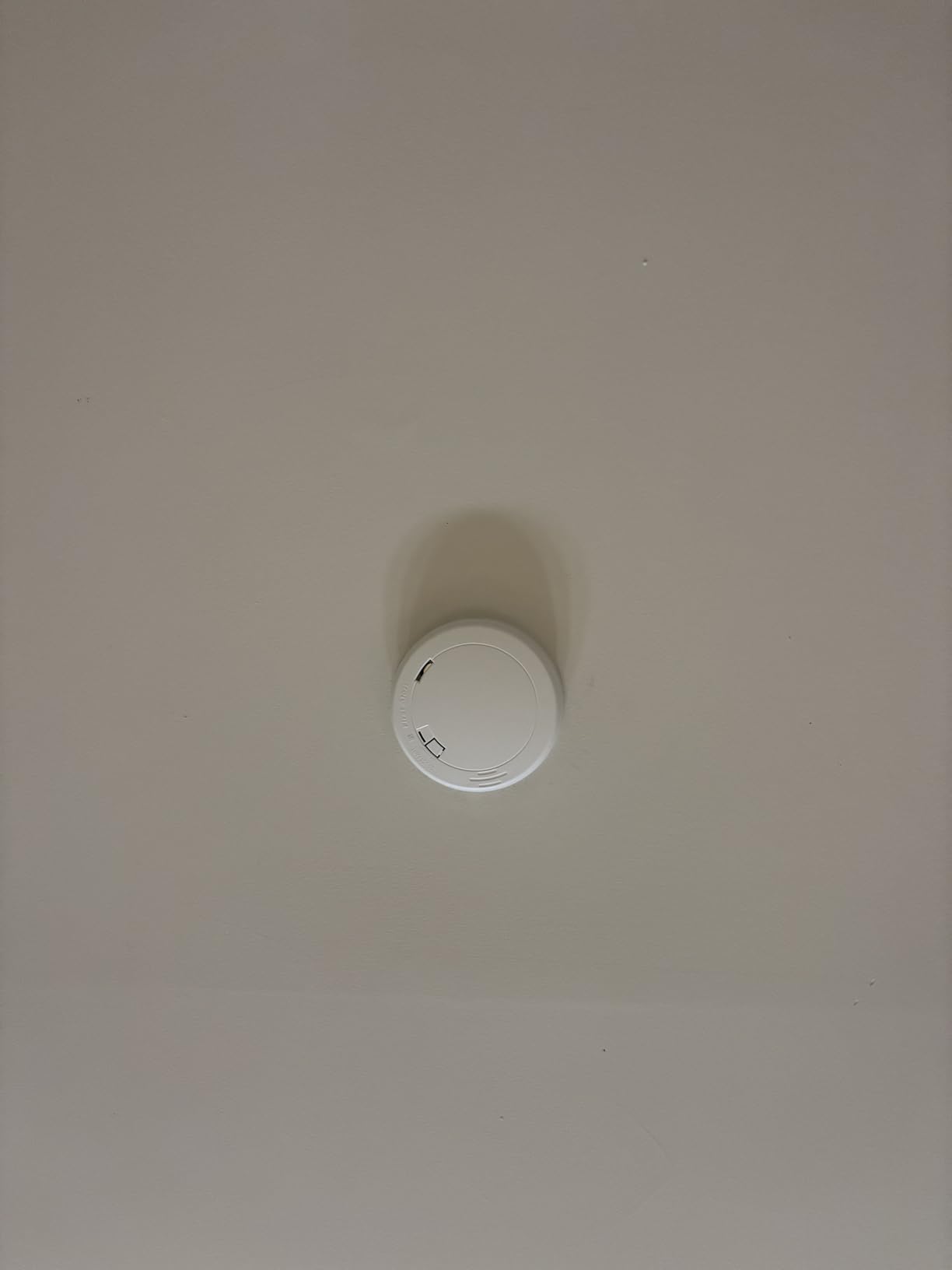 First Alert 10-Year Battery Smoke Alarm Slim Profile with Light customer photo 2