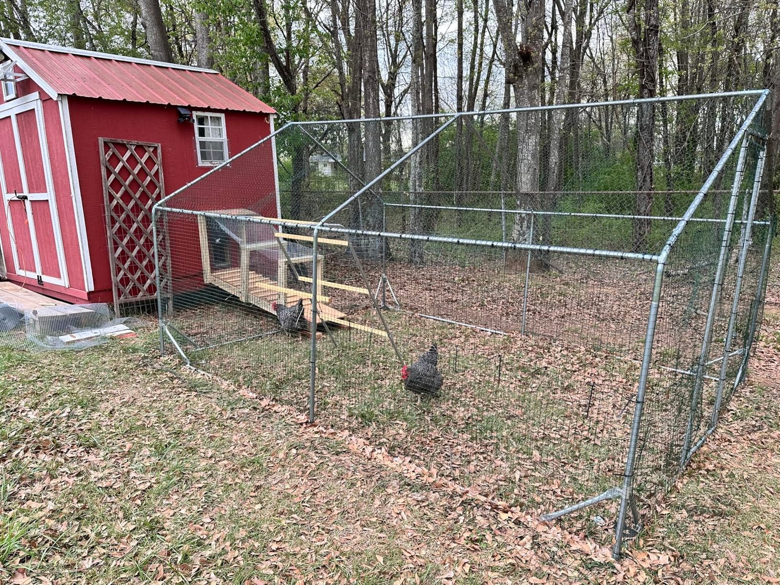 Quictent Large Metal Chicken Coop Run for 30+ Poultry w/Side Hardware Cloth customer photo 2