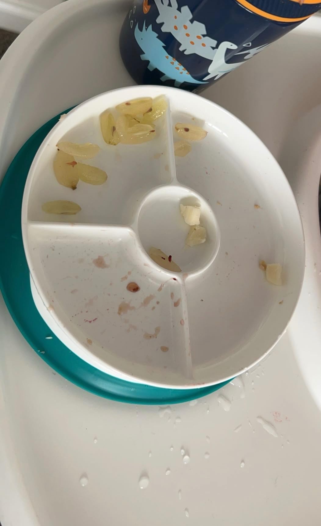 OXO Tot Stick and Stay Suction Divided Plate - Dusk customer photo 1