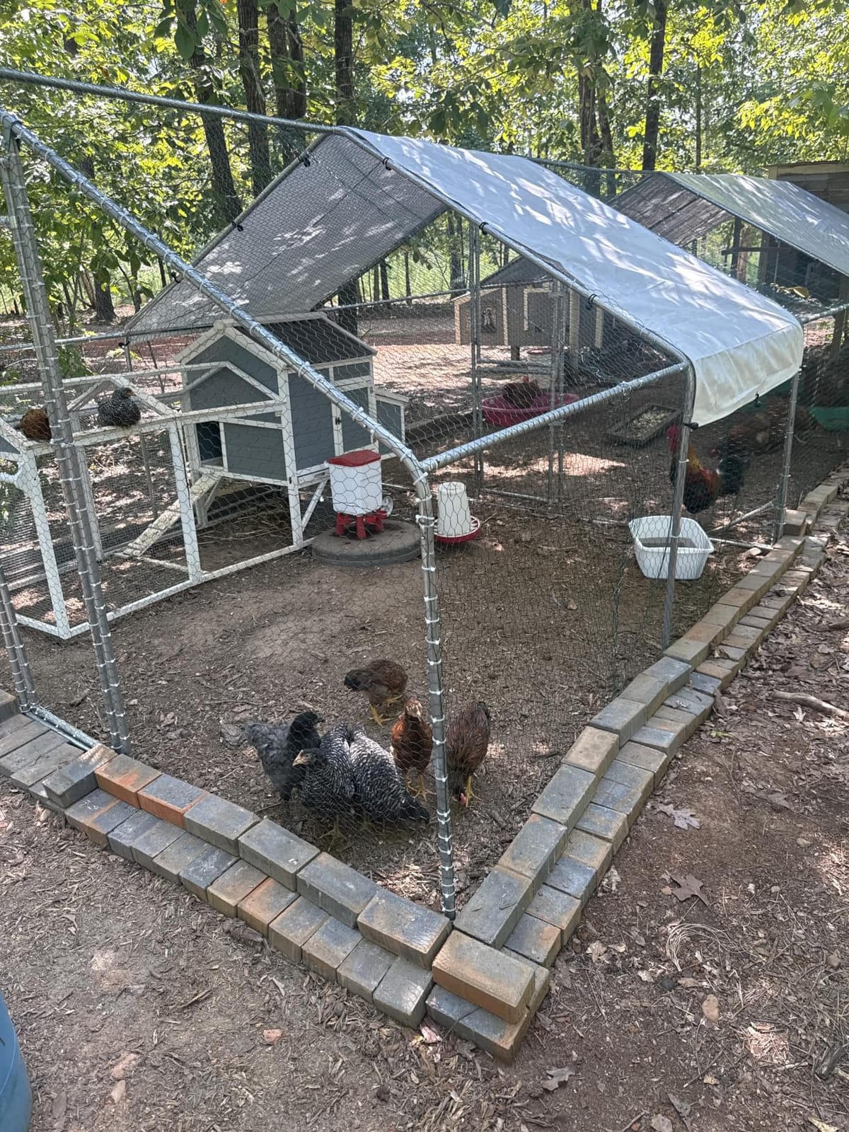 Outvita Chicken Coop, 19.5×10 FT Large Metal Chicken House, Poultry Habitat Cage with Waterproof Cover, Walk-in Chicken Run Pen for Small Animals, Yard, Farm, Patio customer photo 1