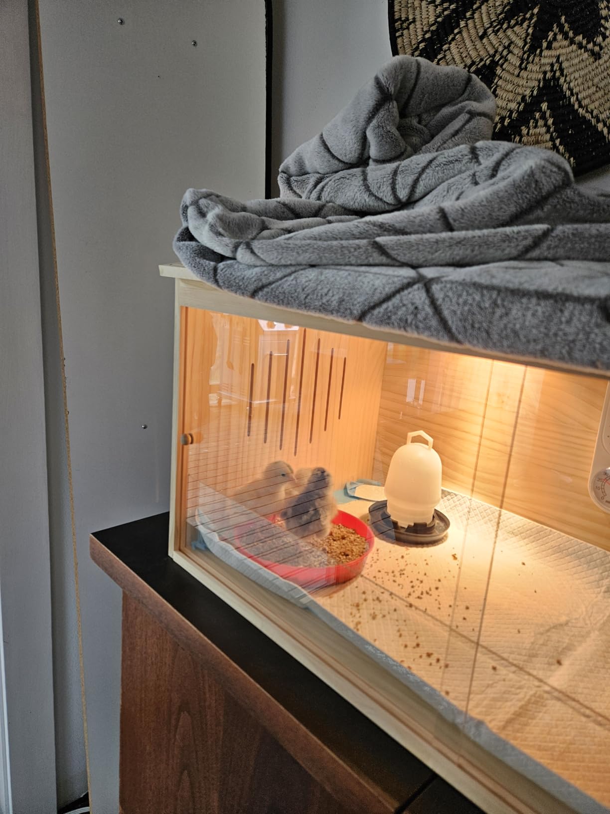 Large Wooden Chicken Brooder Box with Bulb Set and Thermometer - Brooder Box for Chicks Indoor Accommodates Up to 12 Chicks - Ideal for Chickens, Ducks, Quails, Hamsters, and Lizards(32x16x16 Inches) customer photo 2