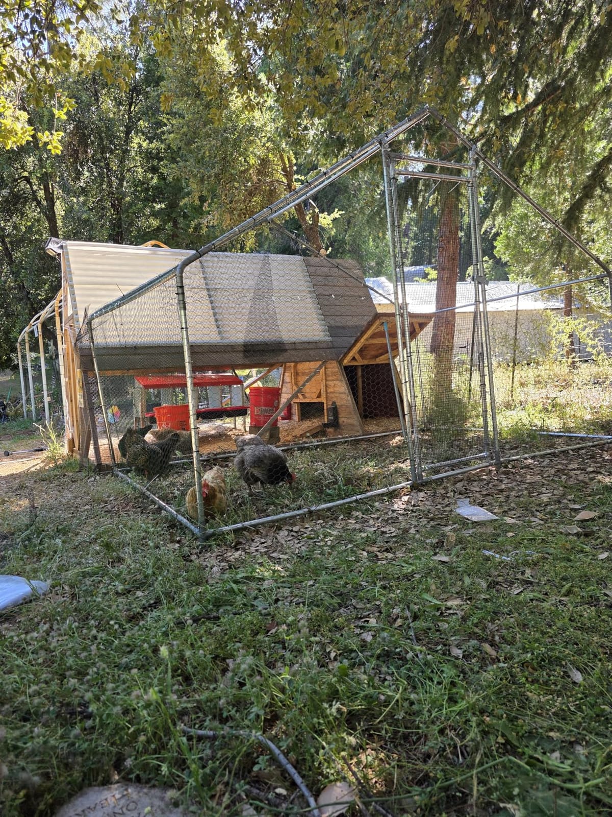 VEVOR Large Metal Chicken Coop, 9.8x13.1x6.5 ft Large Walk in Chicken Runs for Yard with Cover, Hen House Enclosure with Security Lock, Outdoor Duck Rabbit Cage Poultry Pen for Backyard, Farm, Yard customer photo 2