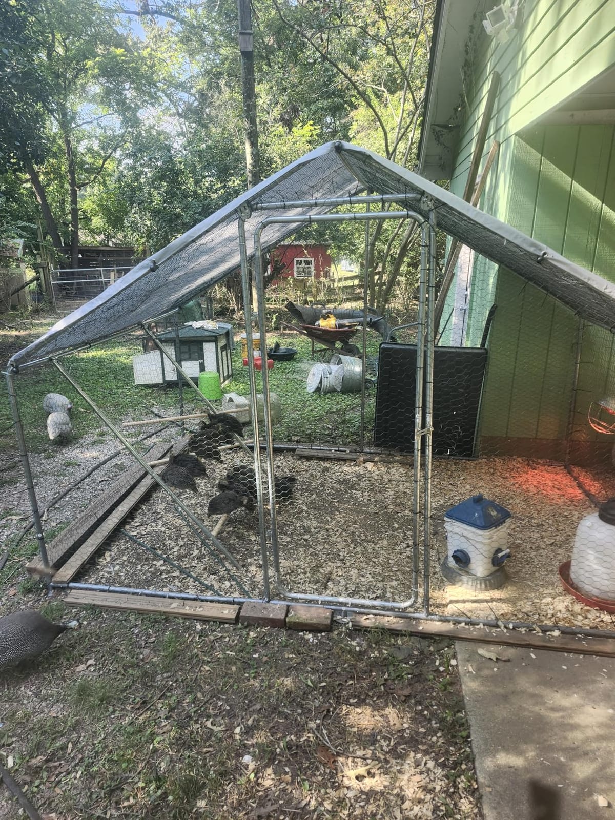 Chicken Roosting Bars, 55