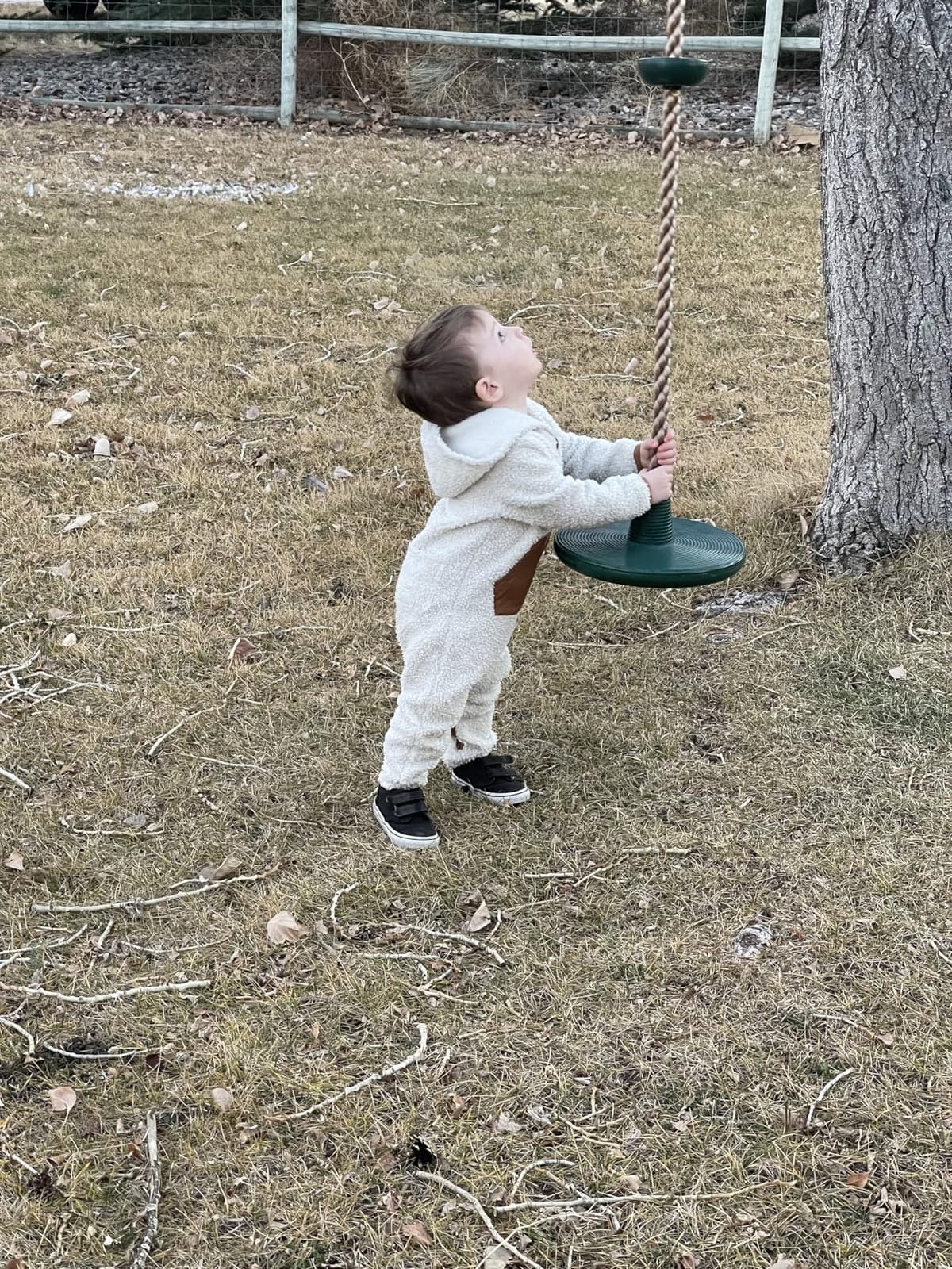 DECORLIFE Tree Swing for Kids 330LB Capacity, Adjustable Climbing Rope with Platforms and Disc Swing Seat Set for Outdoor Backyard Playground Accessories, Including Carabiners and Strap, Red customer photo 2