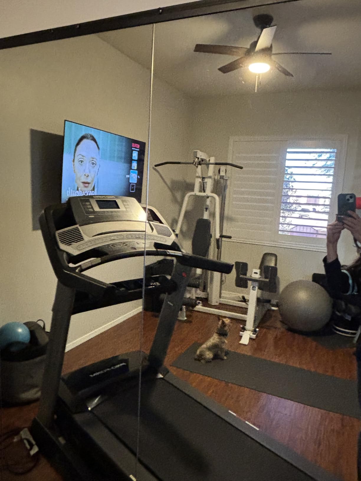 Home Gym Mirror, 56