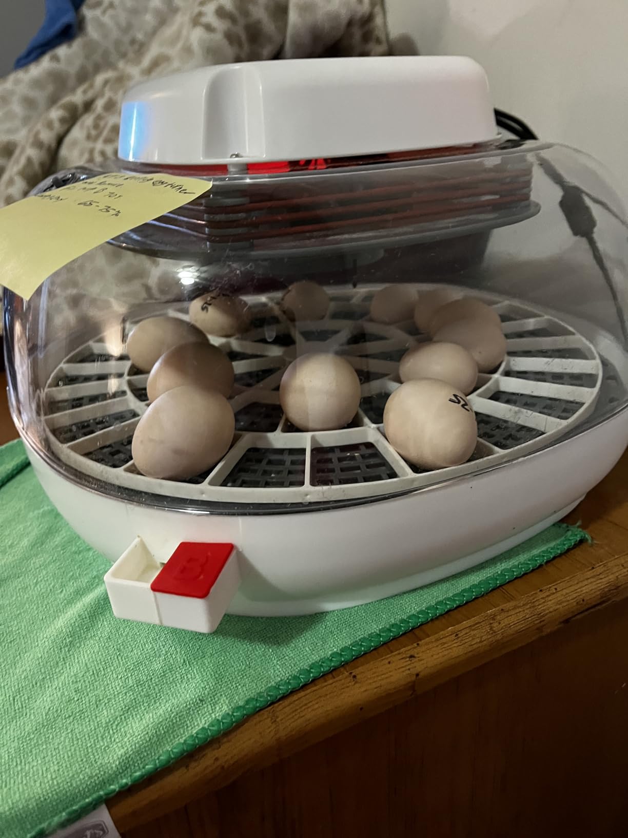 Quail/Bird Egg Turner Tray Compatible with Nurture Right 360 Incubator Tray customer photo 2