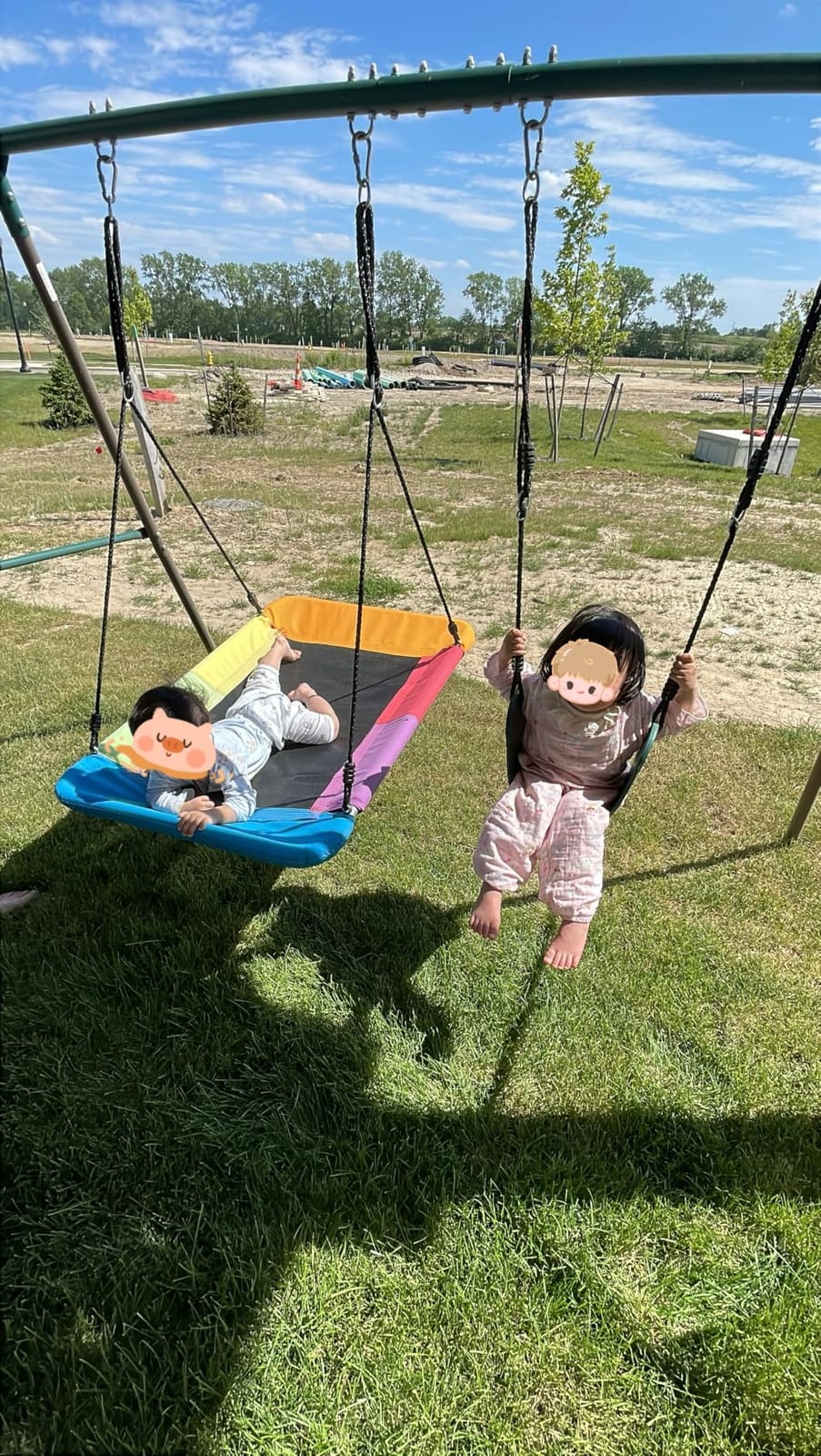 Hapfan Metal Swing Sets for Backyard for Kids with Double Tree Swings customer photo 2