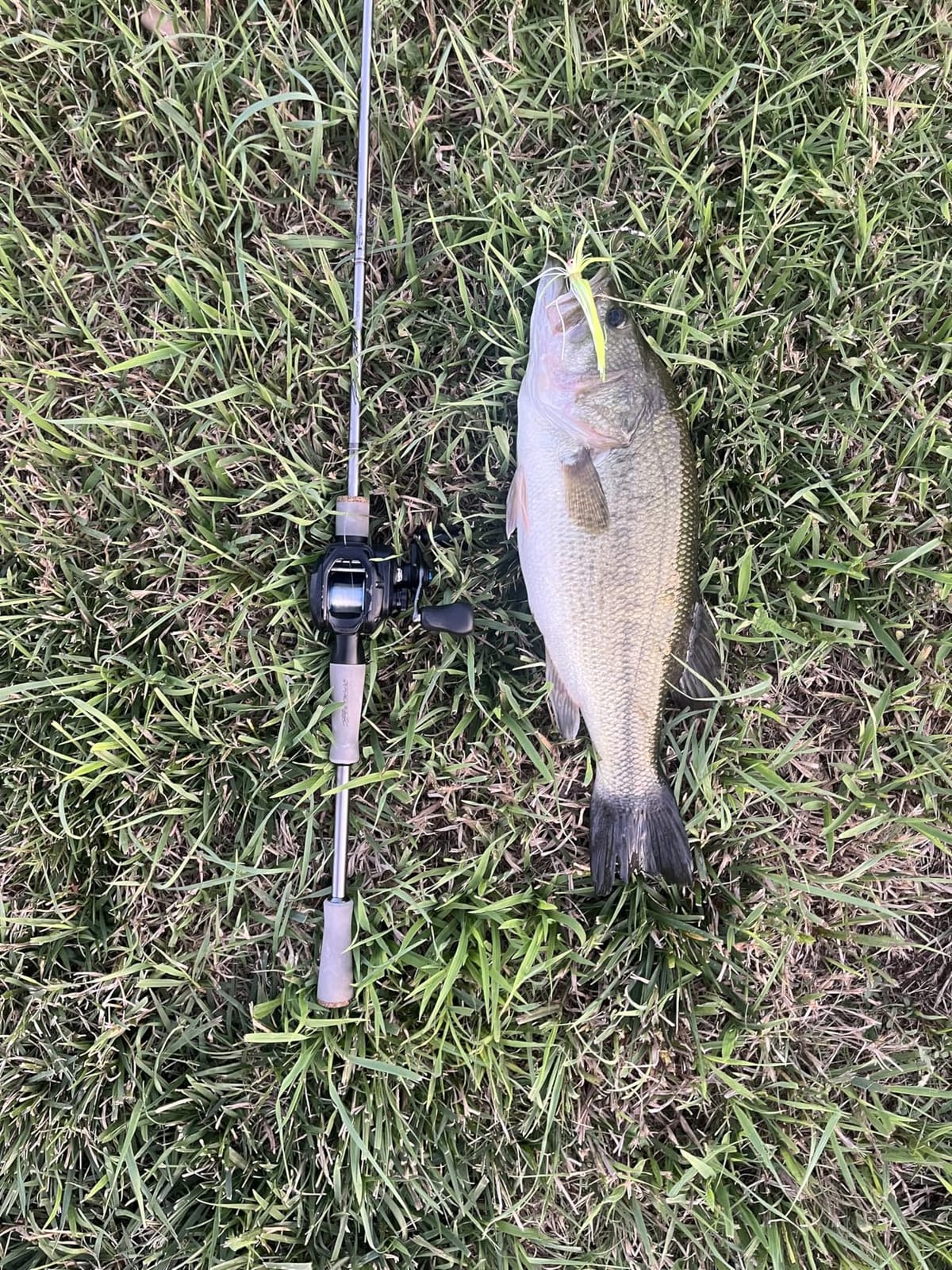 HANDING Pioneer Fishing Rod 2-Piece Baitcaster Rod & Spinning Rod customer photo 2