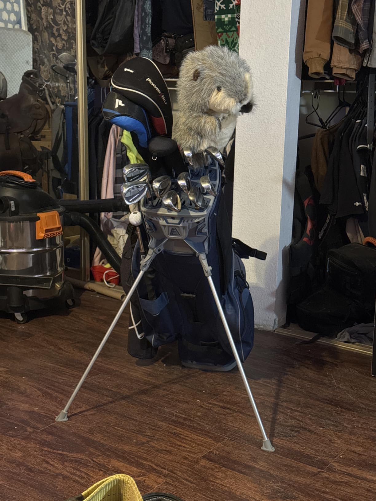 ASK ECHO Soundless 14-Way Golf Stand Bag for Men & Women customer photo 1