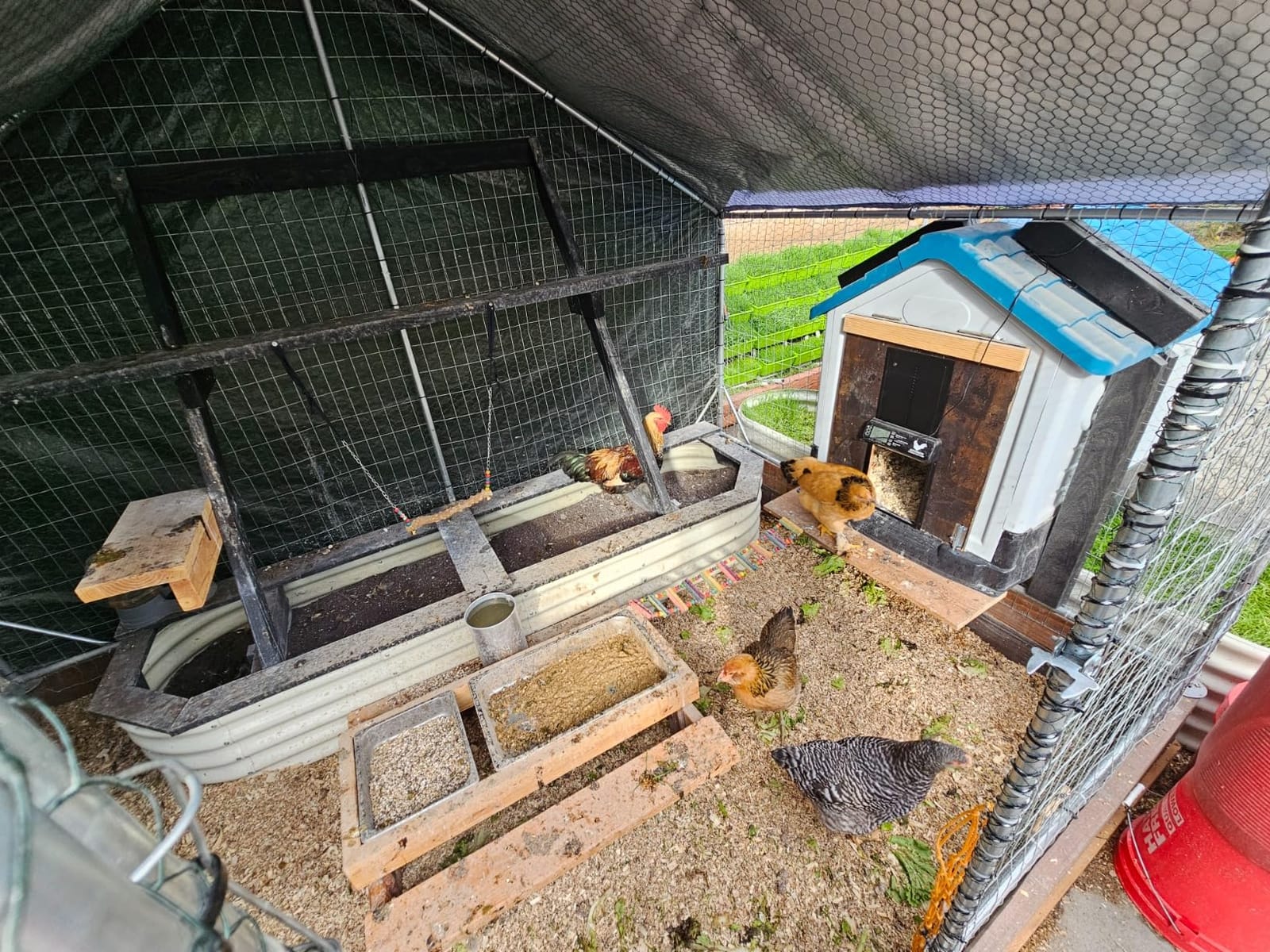 INNOLAND Large Size Automatic Chicken Coop Door - Reinforced Gear Drive customer photo 1