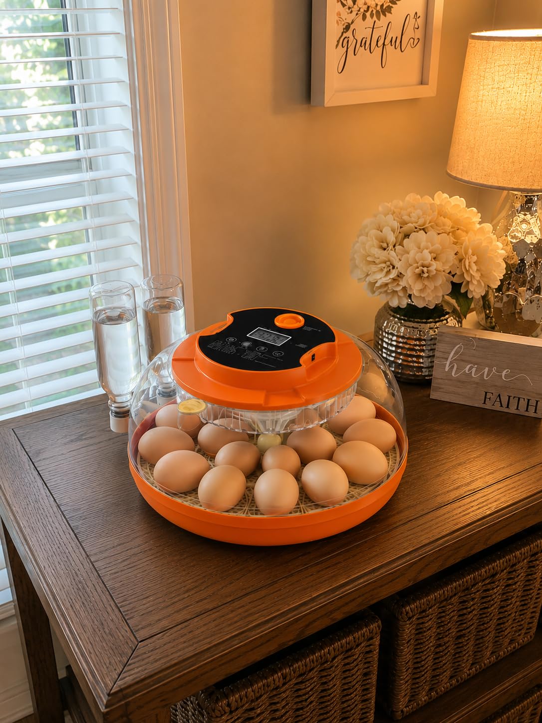 18 Egg Incubators for Hatching Eggs, Automatic Egg Turning and Humidity Control Incubator for Hatch Chicken Duck Quail Pigeon Pheasant Partridge Home Classroom Lab- customer photo 2