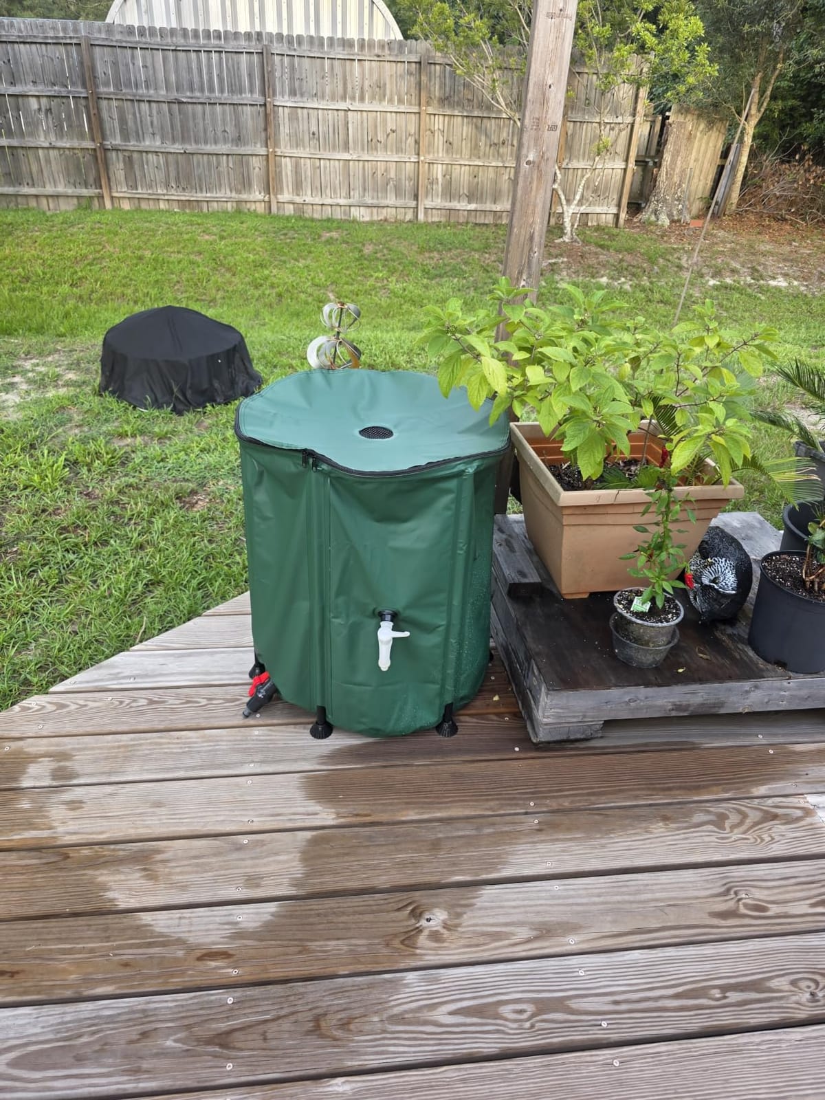 Collapsible Rain Barrel Water Storage Containers-105 Gallon Portable Rainwater Collect System Water Tank to Collect Rainwater from Gutter Downspout Water Catcher with Spigots,Filter＆Overflow Kits customer photo 1