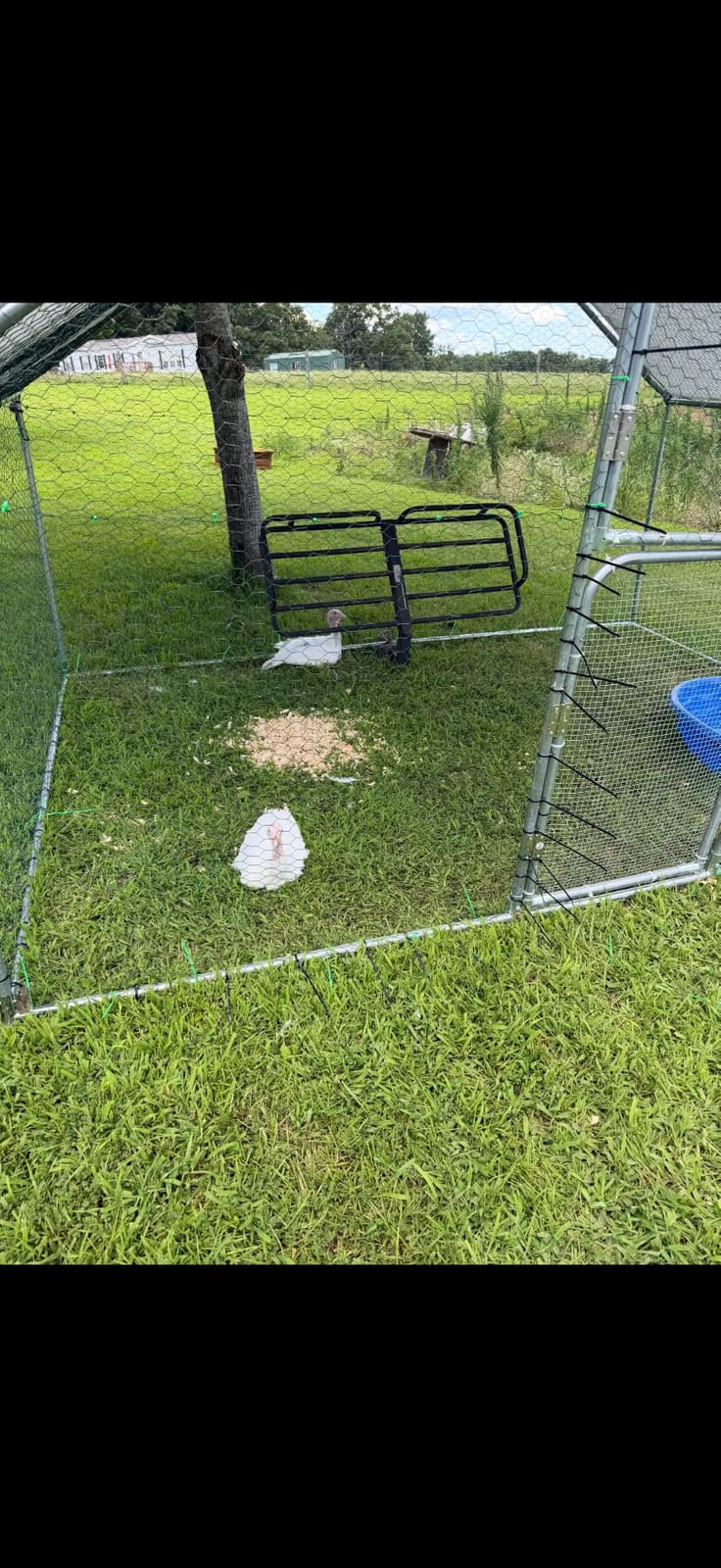 UDPATIO Large Metal Chicken Coop Walk in Run House Pen Galvanized Frame customer photo 1