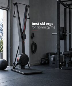 best ski ergs for home gyms